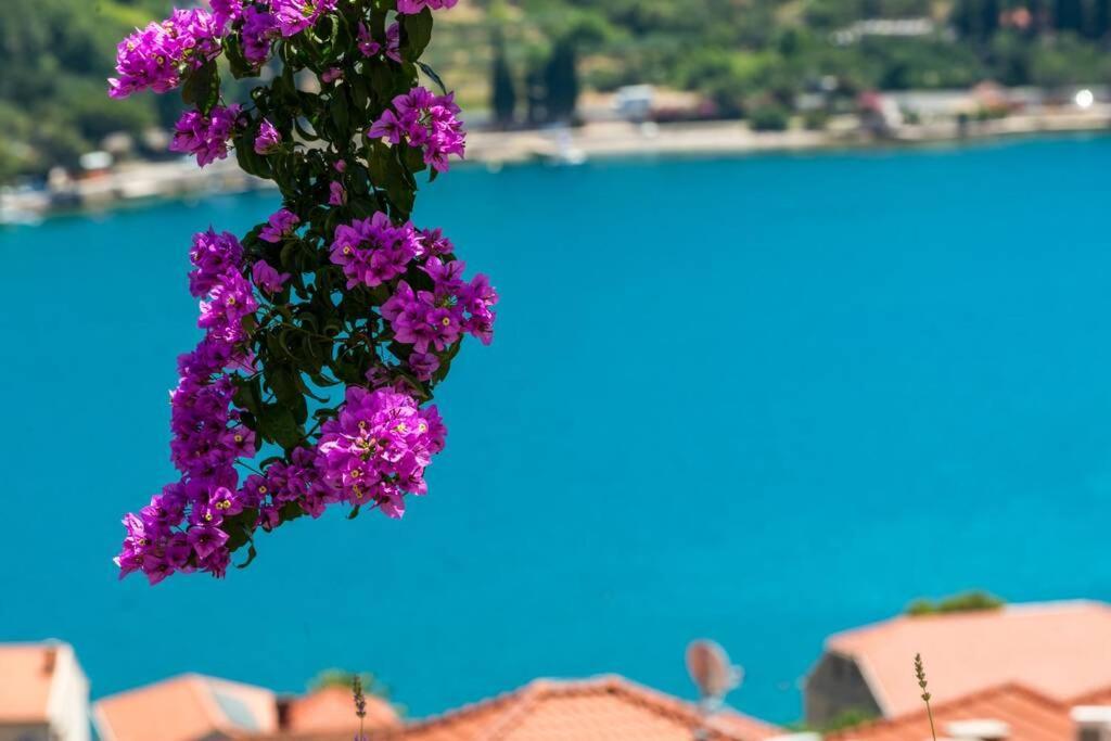 Villa Mardia- Sea View Infinity Pool Built 2023 Zaton  Exterior photo