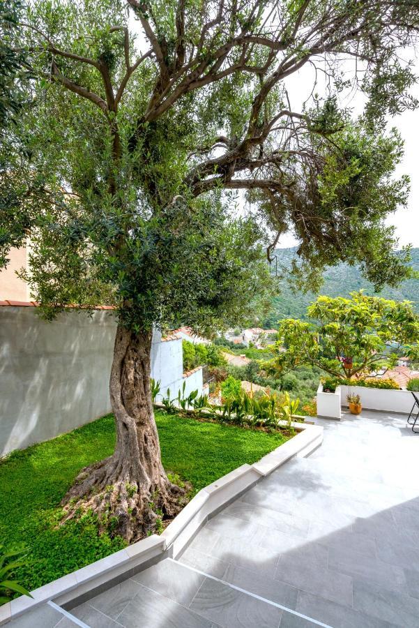Villa Mardia- Sea View Infinity Pool Built 2023 Zaton  Exterior photo